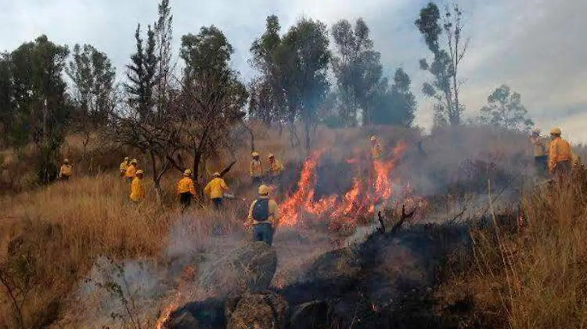 incendios oaxaca ESPECIAL (1)